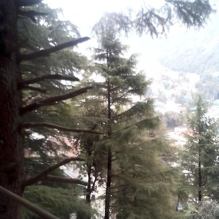 Himalayan Triund Trekking And Mountain View Hostel ดารัมซาลา ภายนอก รูปภาพ