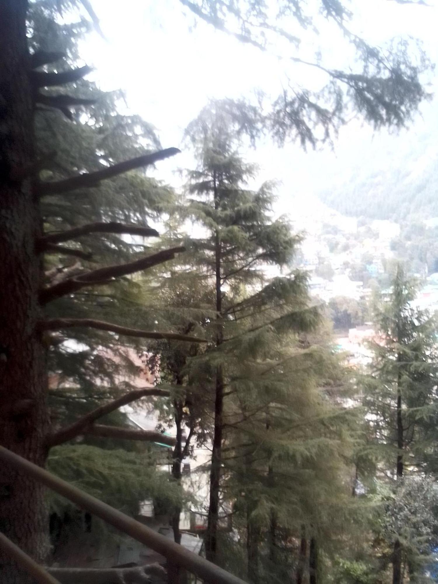 Himalayan Triund Trekking And Mountain View Hostel ดารัมซาลา ภายนอก รูปภาพ