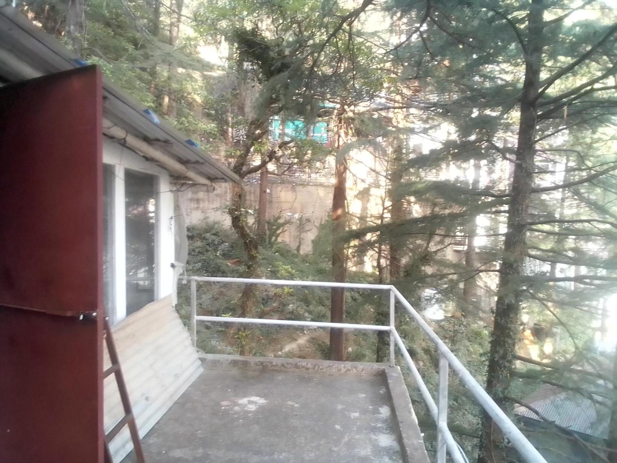 Himalayan Triund Trekking And Mountain View Hostel ดารัมซาลา ภายนอก รูปภาพ